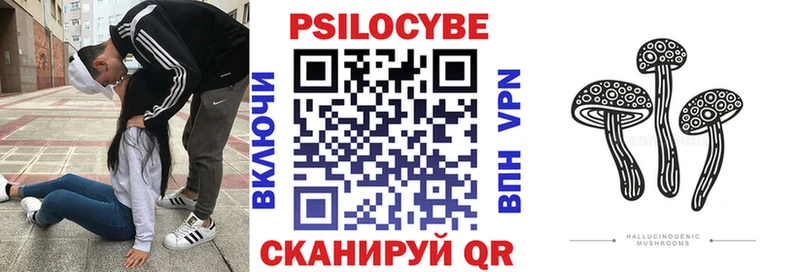 купить наркотик  KRAKEN вход  Галлюциногенные грибы мухоморы  Переславль-Залесский 